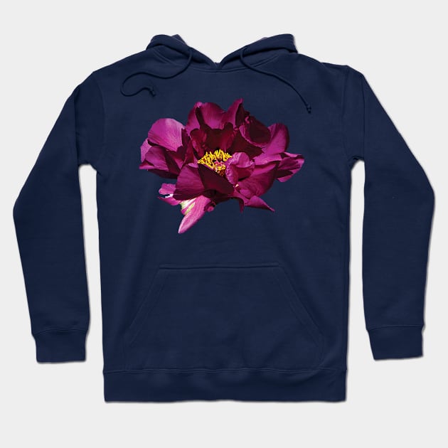 Peonies - Magenta Peony Hoodie by SusanSavad